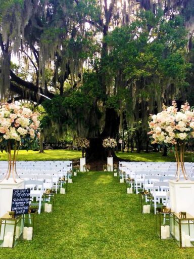 Ceremony under the Azby Oak