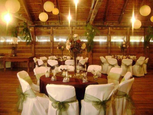 Reception Setup Inside Mule Barn